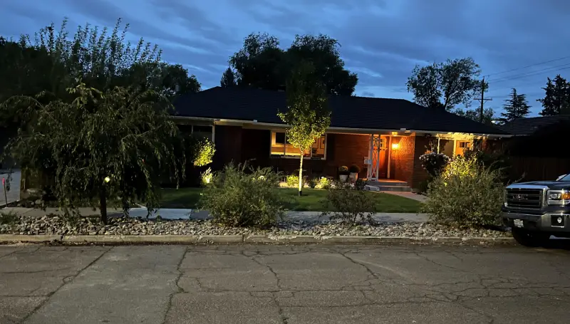 English garden in summer, Lush Green Topiary