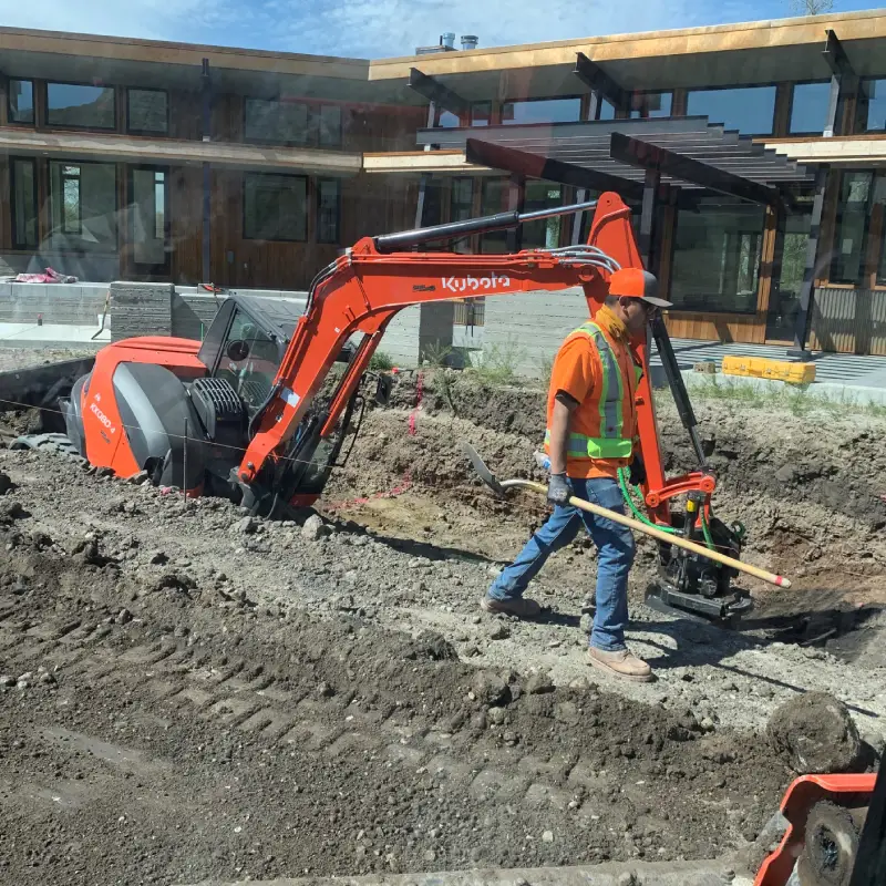 A blooming garden in the backyard in the summer.